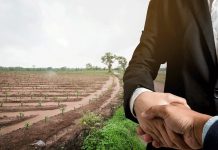 Dilema Investasi Properti Dikalangan Anak Muda Ilustrasi- Investasi Tanah Dikalangan Anak Muda. (Sumber : jendela360.com).