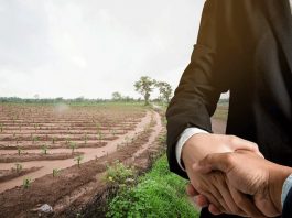 Dilema Investasi Properti Dikalangan Anak Muda Ilustrasi- Investasi Tanah Dikalangan Anak Muda. (Sumber : jendela360.com).