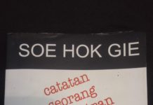 Soe Hok Gie: Catatan Seorang Demonstran