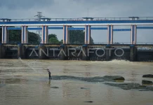 Kebakaran Gudang Pestisida PT Biotek Saranatama Cemari Sungai Cisadane Sepanjang 22,5 Kilometer